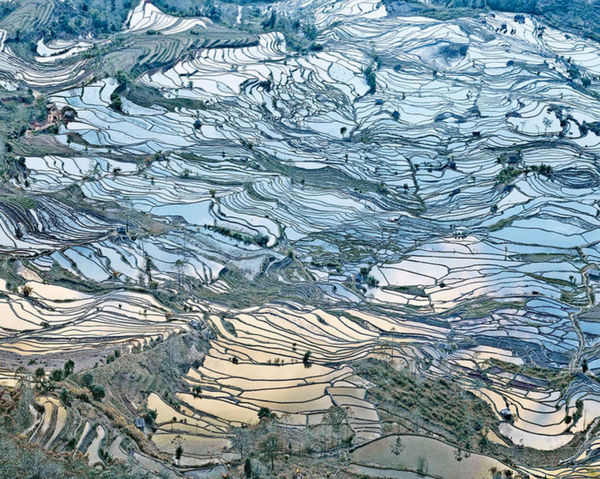 David Burdeny Rice Terraces, (Laohuzui I), Yunnan, China, 2013 Archival pigment print 44 x 55 in. 46 x 57 in. framed