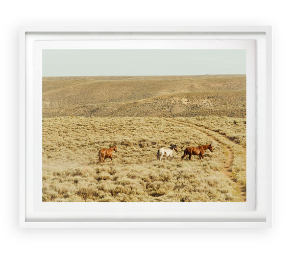 Christine Flynn Wild Horses 2, 2020 Continuous tone photographic print on Entrada Rag paper 23 x 29 in. framed 35 x 45 in. framed