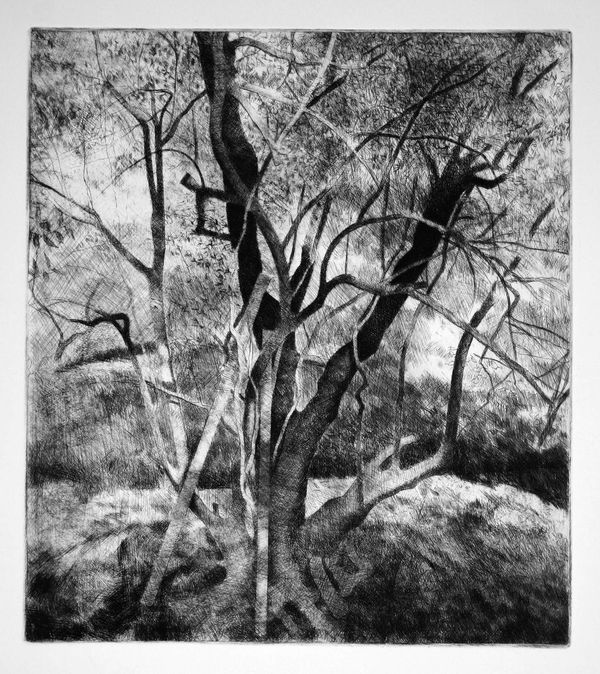 James Crittenden, Old Olive Tree