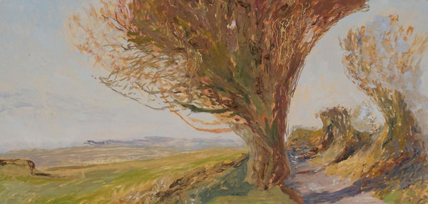 Georgiina Allen, Wiltshire, Autumn