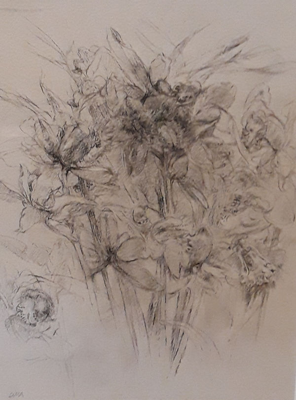 Diana Armfield, The Mysterious Orchid