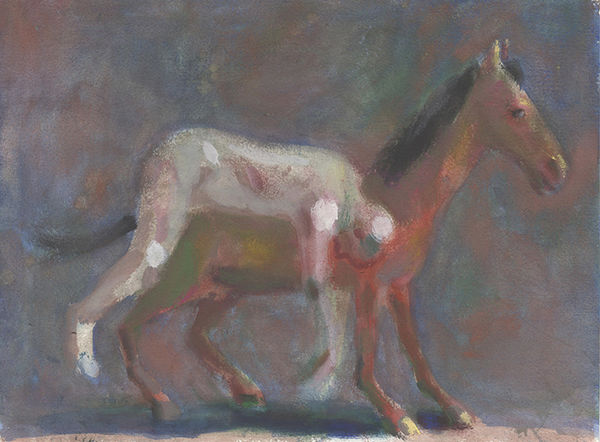 Charles Williams, Tired Rider