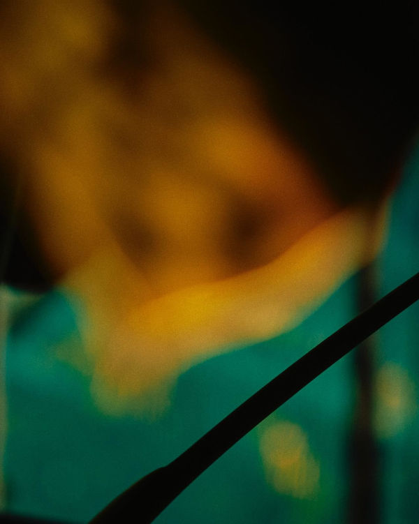 Lotte Ekkel, Amsterdam Fragments #2, 2025