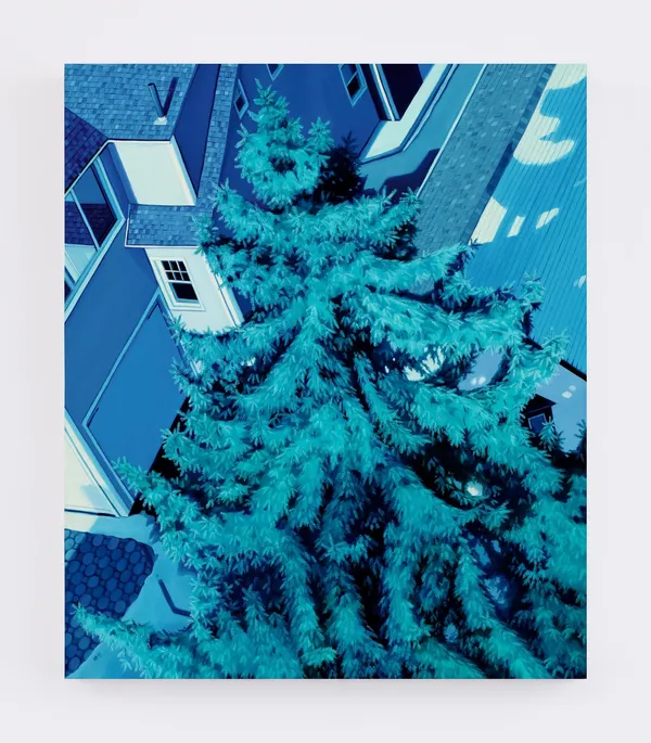 Jessica Rohrer, Blue Spruce