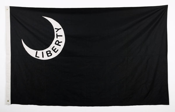 Gardar Eide Einarsson “BLACK FLAG (LIBERTY)”, 2004 Cotton duck