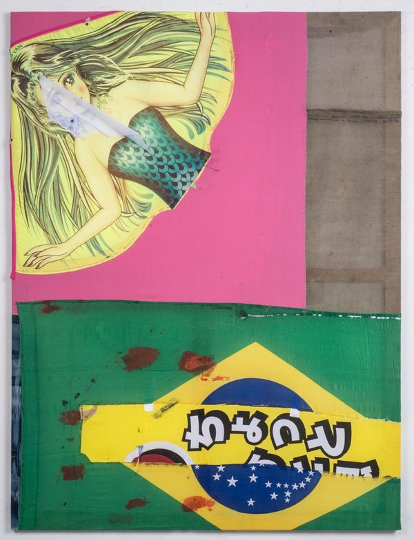 Joe Fyfe, Mermaid from Brazil, 2016