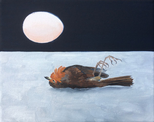 Flan Flanagan, December Fall, 2020