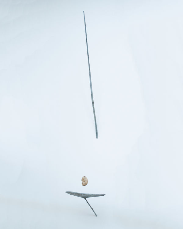 Anthony Leenders, fossil fishing, 2025