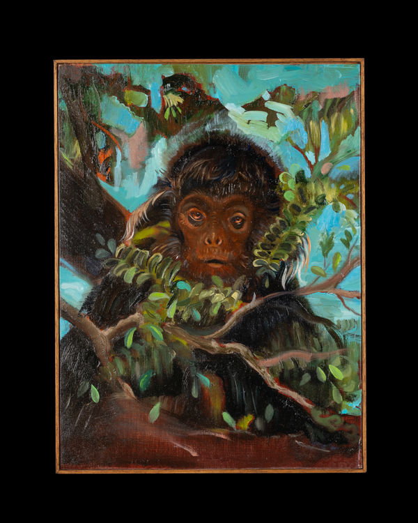 Guy Slabbinck, Gazing at the stars, 2025