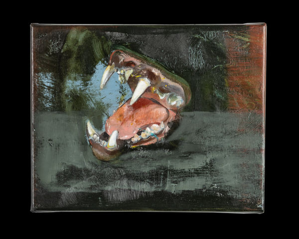 Guy Slabbinck, Maul, 2024-2025