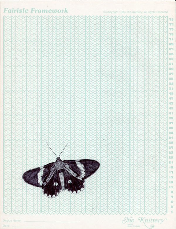 Neva Hosking Moth III, 2024 ink on paper 27.8 x 21.6 cm (sheet)