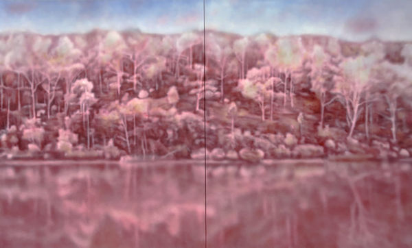 Fiona Lowry Deep in the forest there’s an unexpected clearing that can be reached only by someone who has lost his way, 2024-25 acrylic on canvas 213 x 352 cm