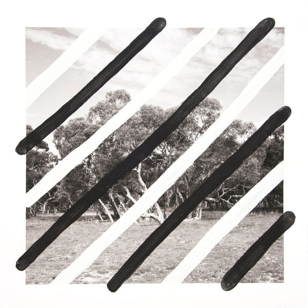 James Tylor, Turalayinthi Yarta (Wirra), 2017