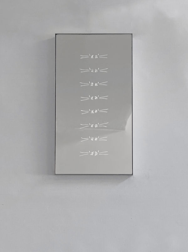 Tom Blake, leafing, holding, 2025