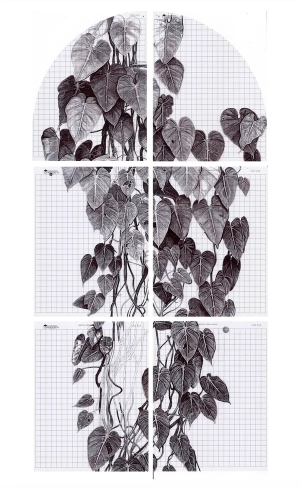 Neva Hosking, A Curtain Of Philodendron Micans At The Caravan Park, South Mission Beach, 2024