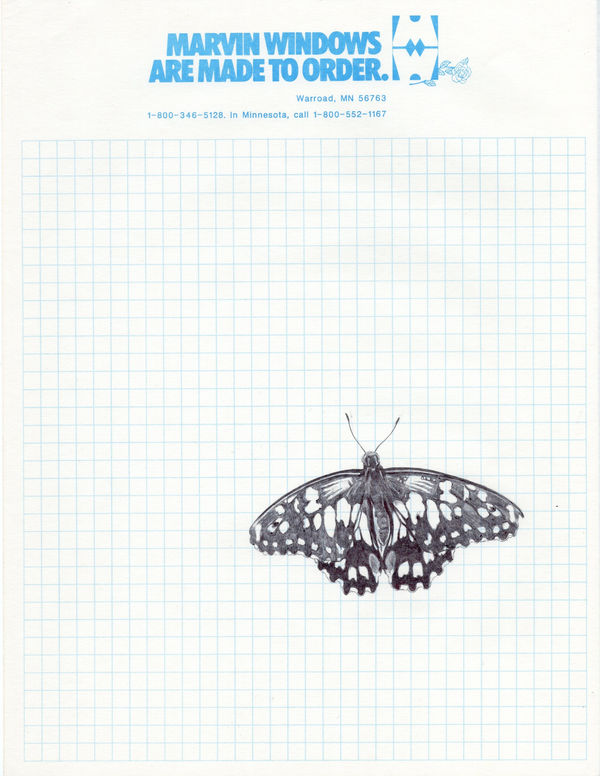 Neva Hosking Butterfly I, 2024 ink on paper 28 x 21.5 cm (sheet)