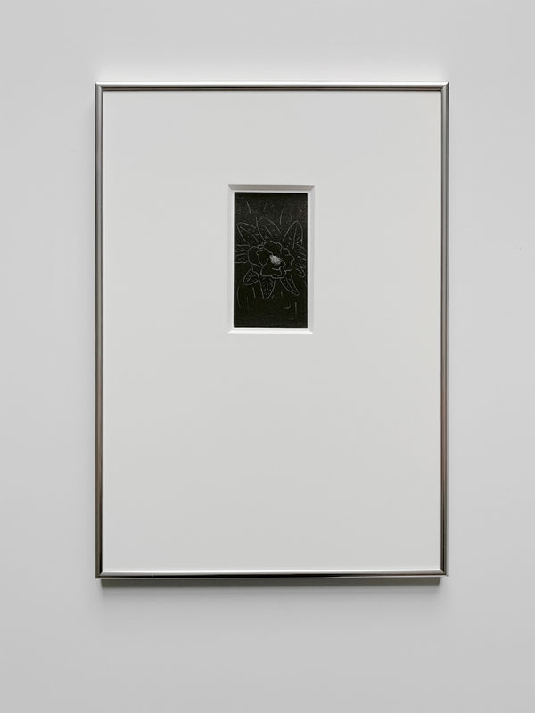 Tom Blake, holding leaves, 2025