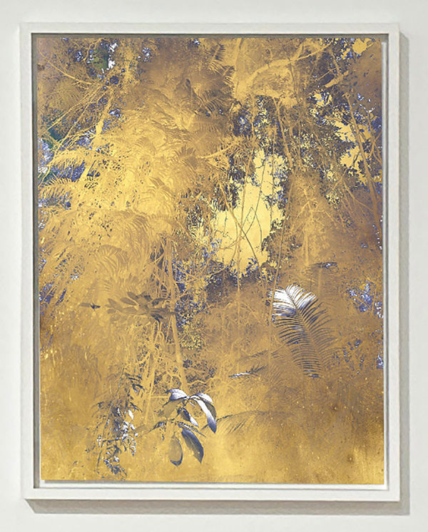 Danie Mellor, Forests of gold, 2023