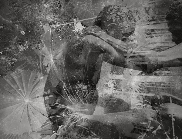 Danie Mellor, Perpetual (ngaray), 2022