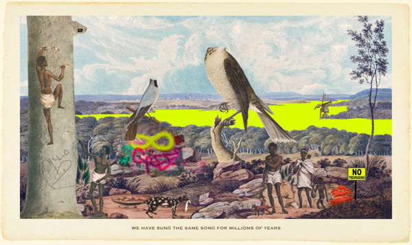 Joan Ross, We have sung the same song for millions of years, 2021