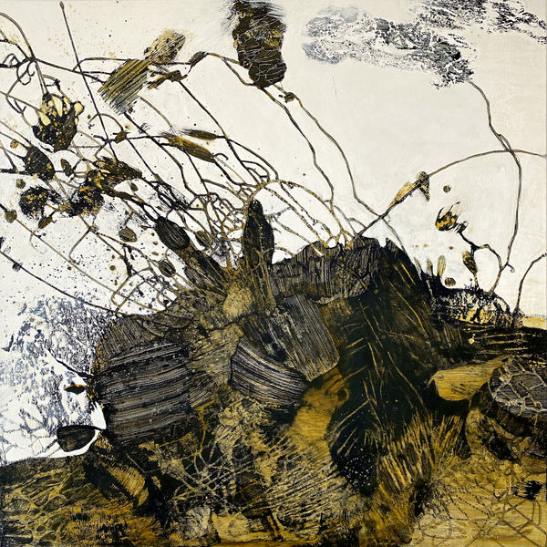 Shar Coulson, Clear-Sighted Dreaming FFF288