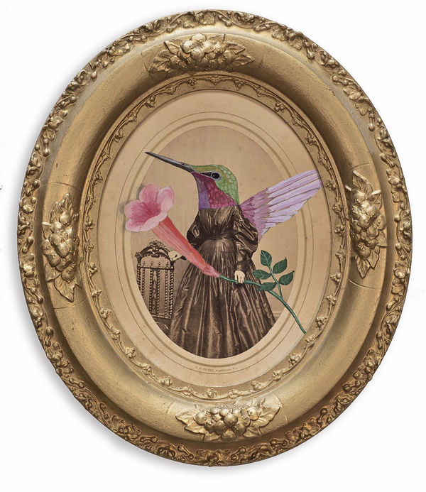 Alexandra Eldridge, Humming Bird & Her Trumpet Flower