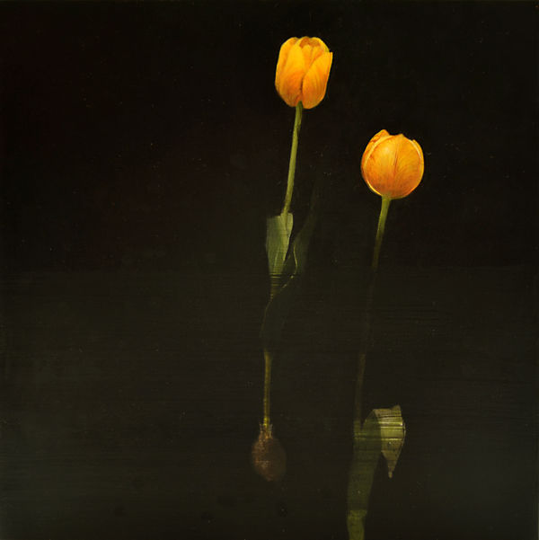 Carol Mothner, Yellow Tulips Interrupted