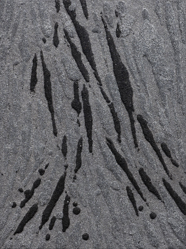 William T Carson, Speckled Bird