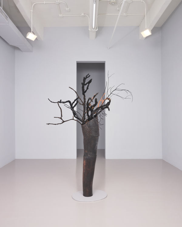 Adebunmi Gbadebo, Witness, 2025