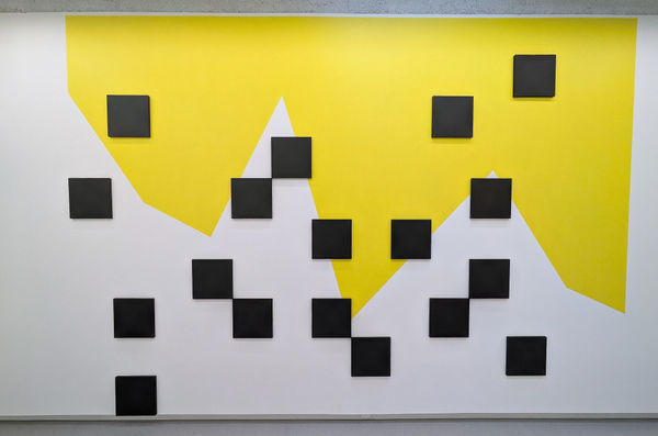 Grenouilles et champignons