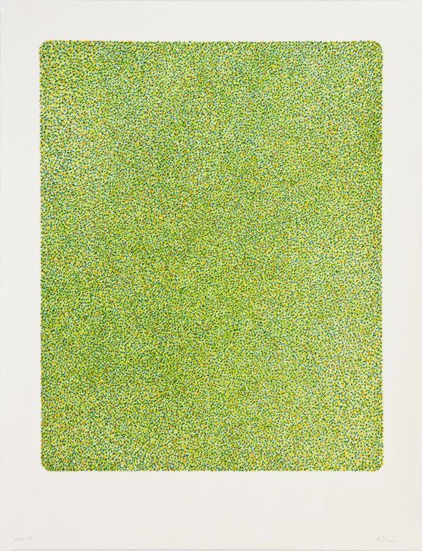 Orange sur vert sur vert sur jaune