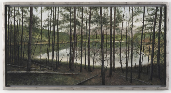 Donald Provan, Looking Through