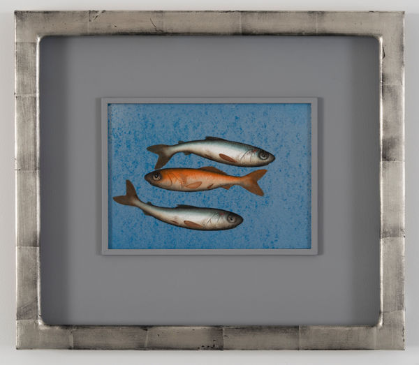 Donald Provan, Stuck in the Middle