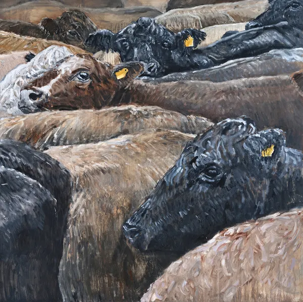 Finlay Trevor, Cattle Grid