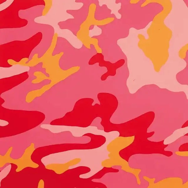 Andy Warhol, Camouflage (FS II.408), 1987