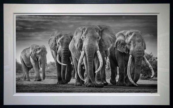 David Yarrow, Squad, 2019