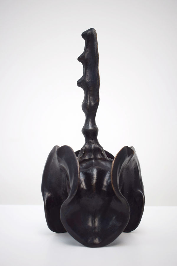 Luke Hamel Cooke, Wyrd, 2026