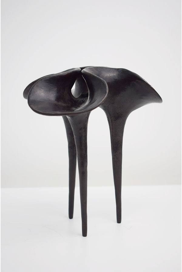 Luke Hamel Cooke, Tripod, 2026