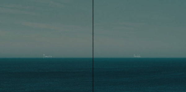 Hiraki Sawa, Memoria Paralela, 2019