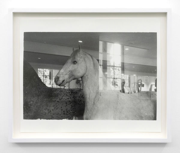 Signe Ralkov, Perlen (1844-1864), 2025