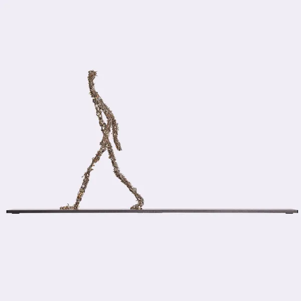 Quentin Carnaille, la marche du temps