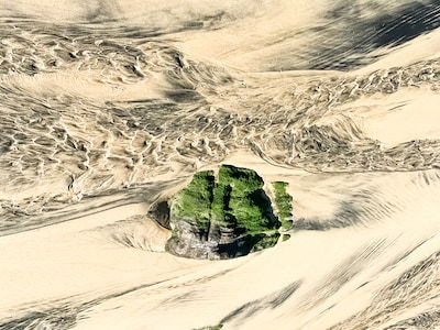 2019 - 2026 - Sacred Code