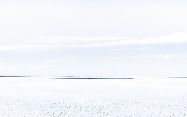 305 White on white III