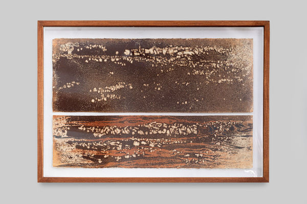 Shaan Bevan, Choose the field of brick and bone or the dark well of the brain, 2025