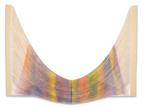 Myles Bennett, Dying Light 15, 2024