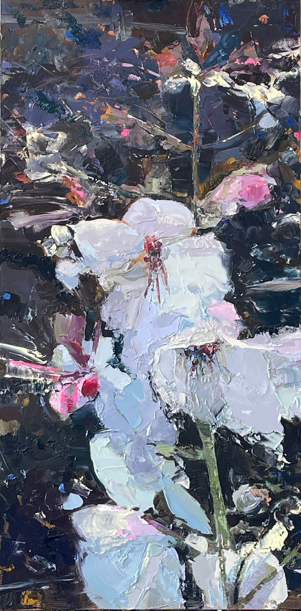 Carolyn Meyer, Wild Bloom, 2023