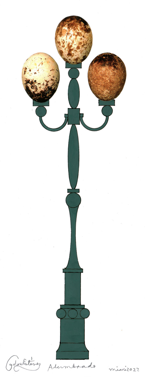 Carlos Estevez, Alumbrado, 2022