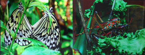 Paul Stoppi, Self Portrait of the artist, working hard in his studio, day an night, to make ends meet., 2009