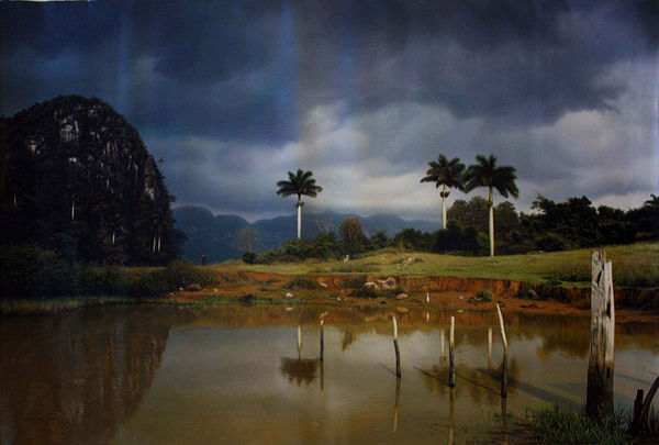 Ernesto Estevez, El Explorador, 2013