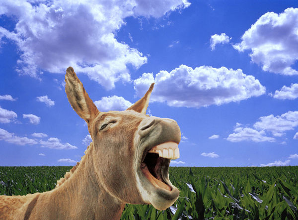 Paul Stoppi, Self portrait of the artist out standing in his chosen field, 2006